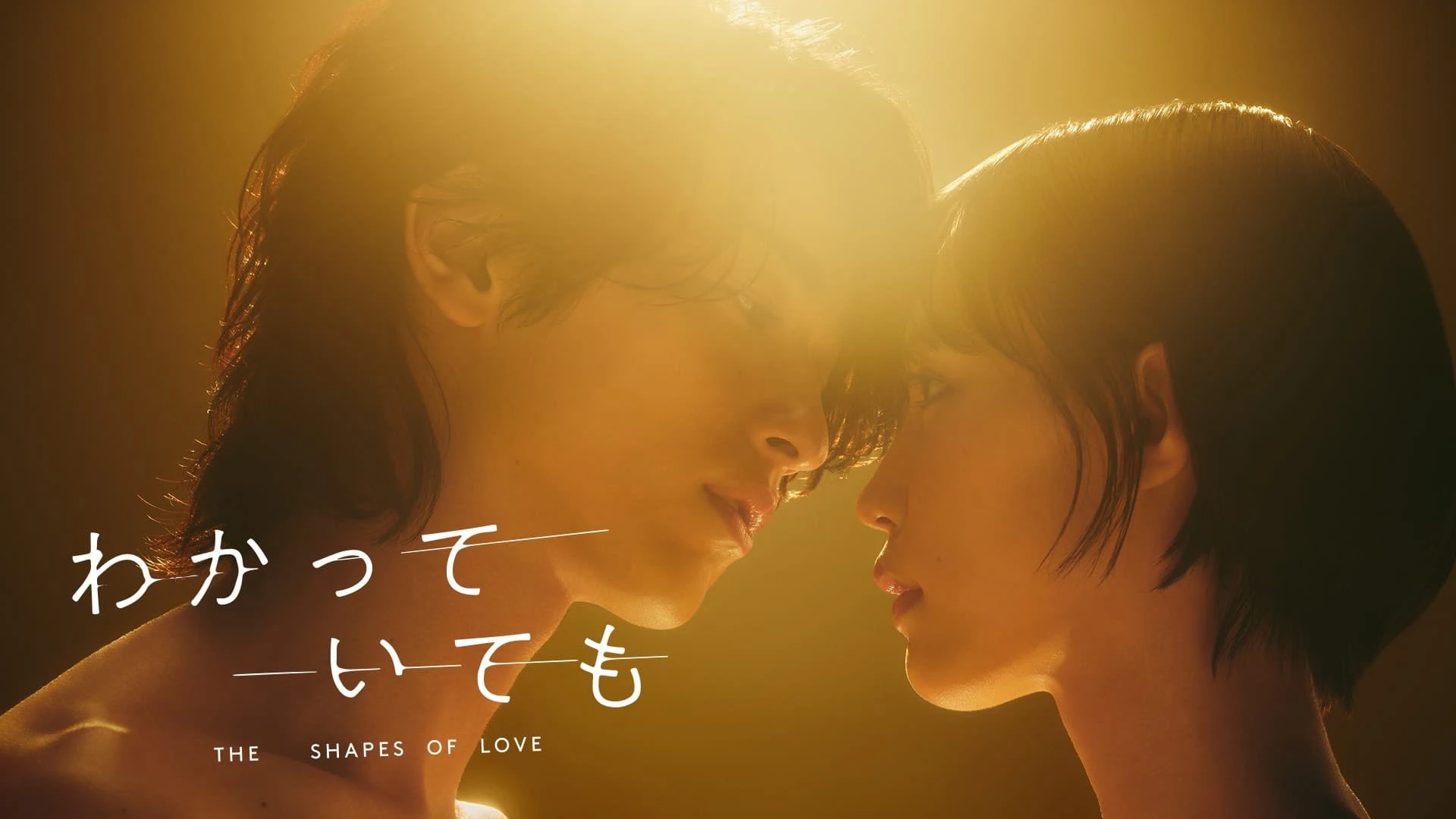 DẪU BIẾT DÁNG HÌNH TÌNH YÊU The Shapes of Love