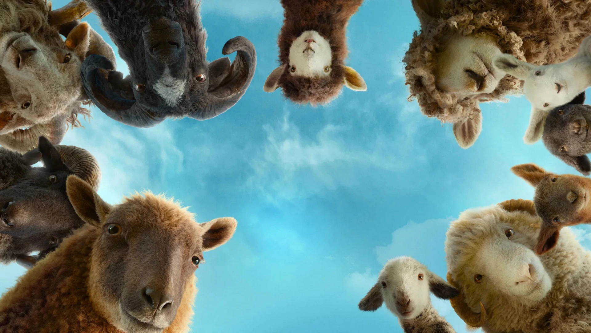 Đội Thám Tử Cừu: Án Mạng Lúc Nửa Đêm - The Sheep Detectives