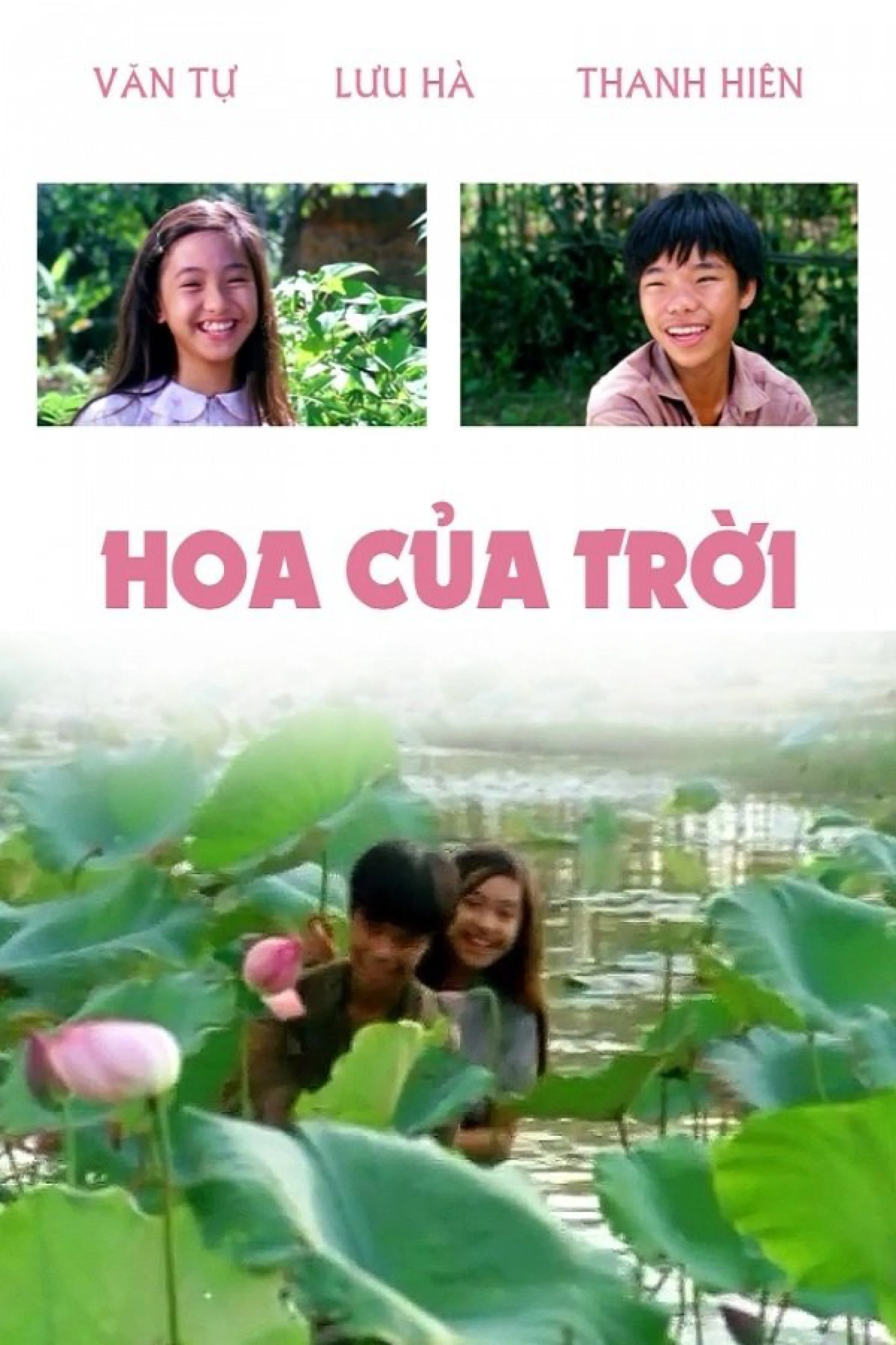 Hoa Của Trời Hoa Của Trời