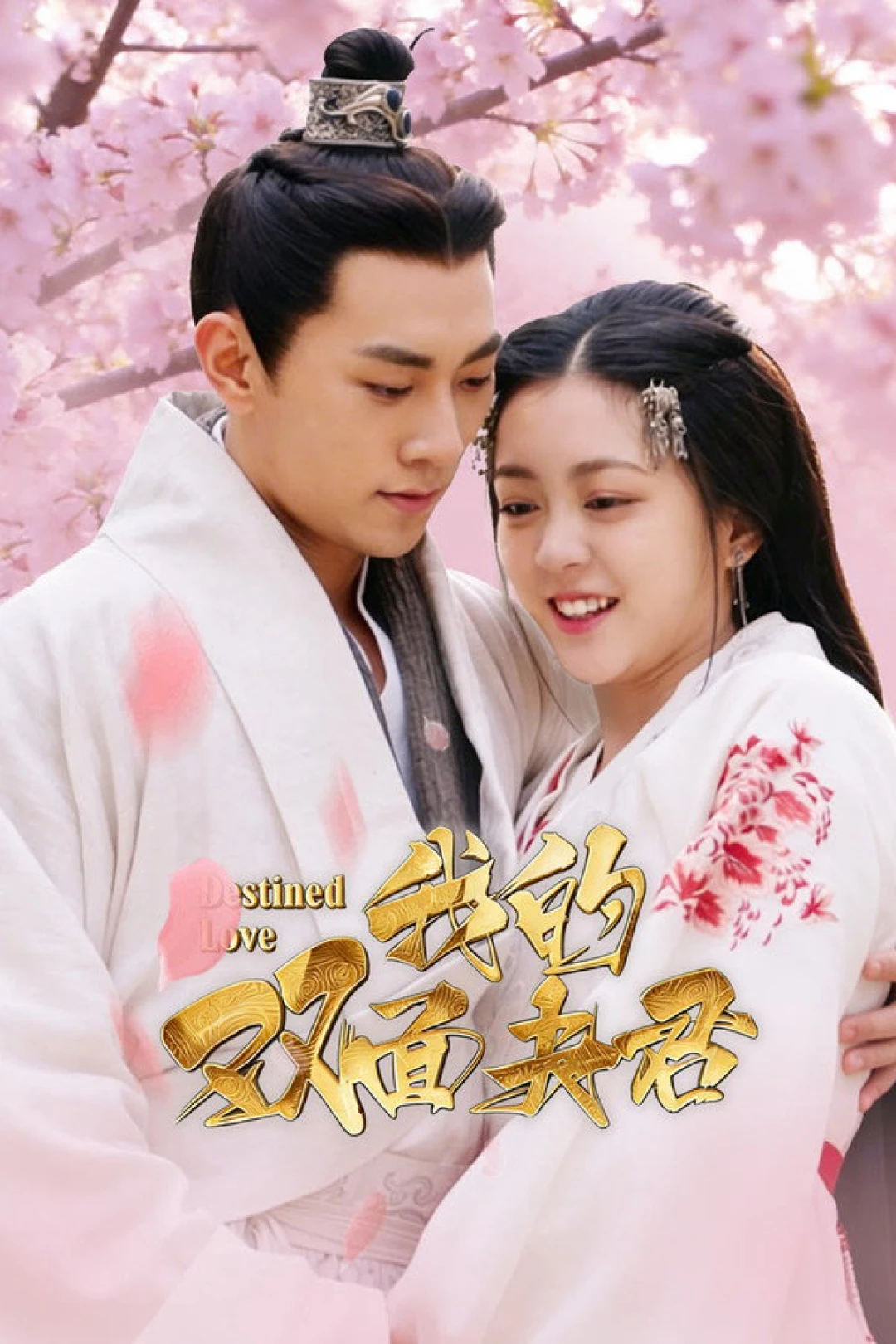 Ngã Đích Song Diện Phu Quân