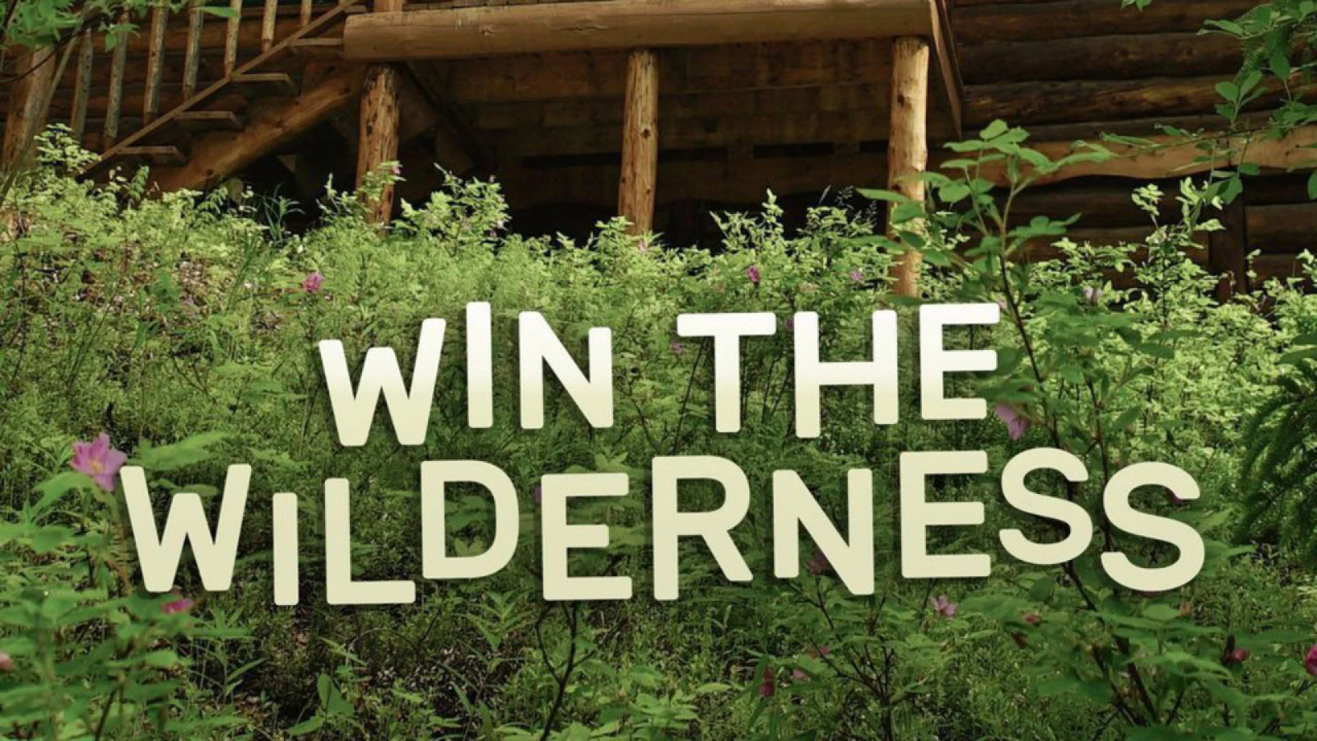 Người thừa kế vùng hoang dã Win the Wilderness